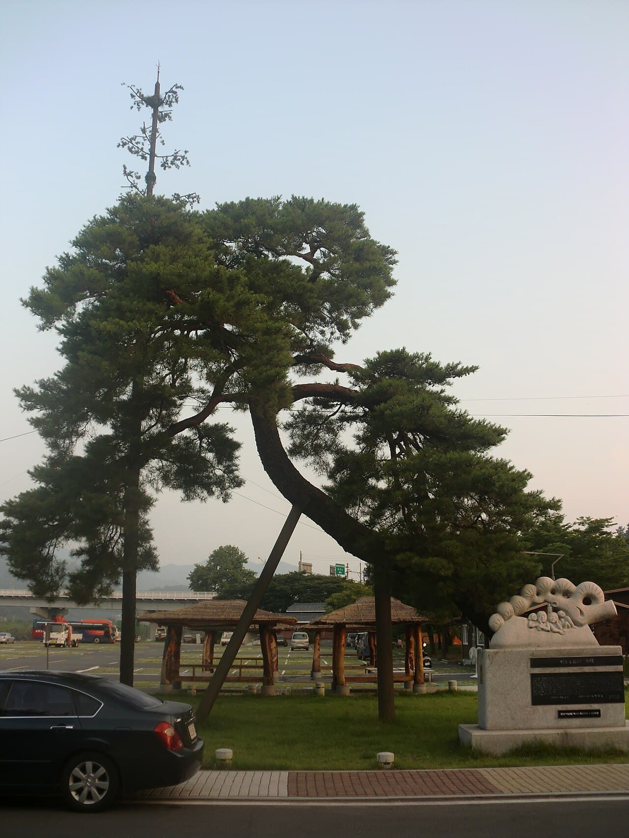 하동 송림 전경